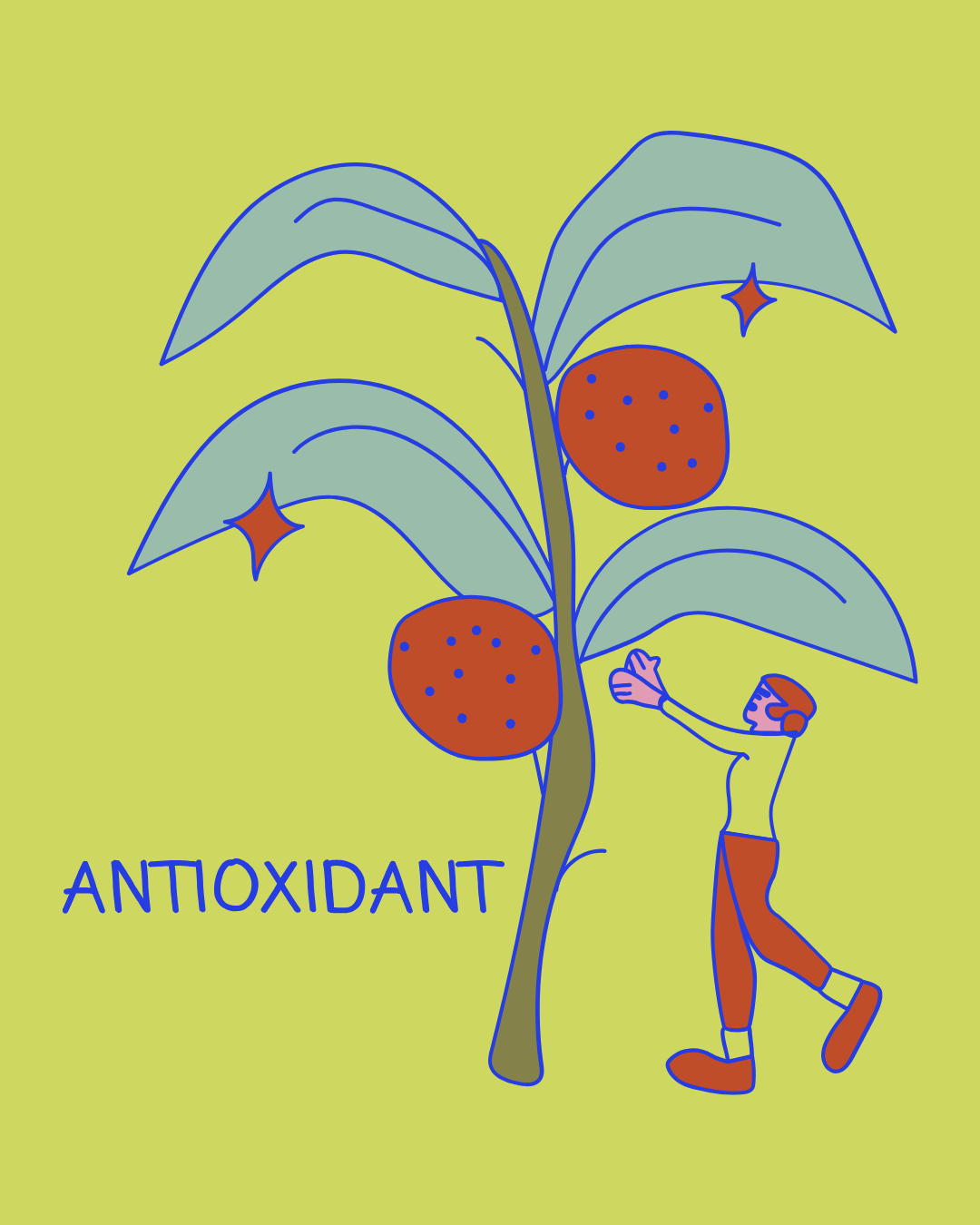 <p><strong>Antioxidant Power</strong></p>